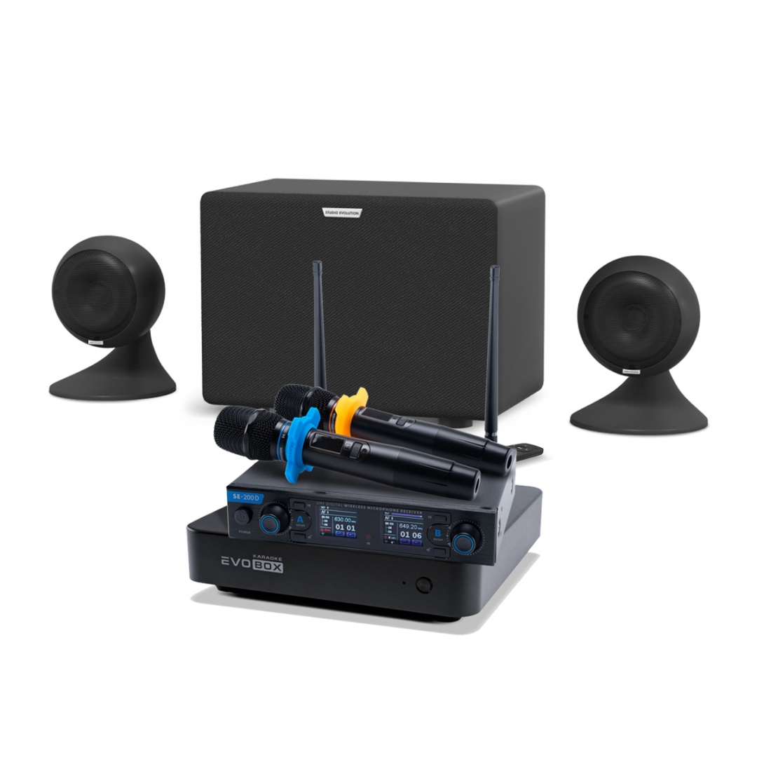 караоке-комплект EVOBOX + EvoSound Sphere 2.1 в Серове
