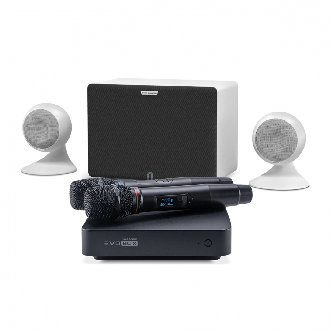 караоке-комплект EVOBOX Classic + EvoSound Sphere 2.1 в Серове