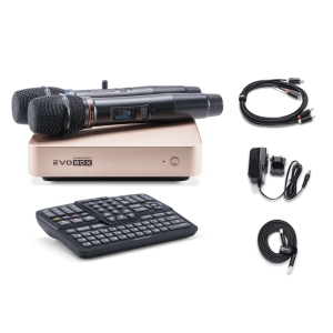 EVOBOX Classic караоке-система для дома в Серове