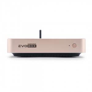 EVOBOX Plus караоке-система для дома в Серове